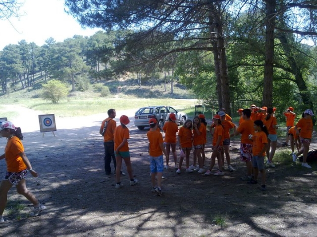  Preparing for the activity 